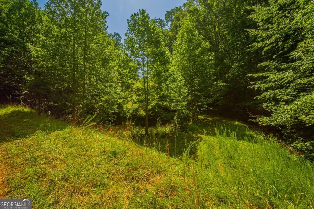 0 Old Cherokee WAY Dawsonville, GA 30534