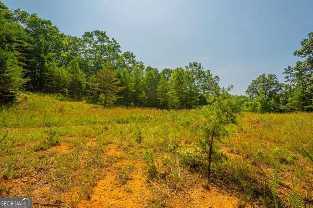 0 Old Cherokee WAY Dawsonville, GA 30534