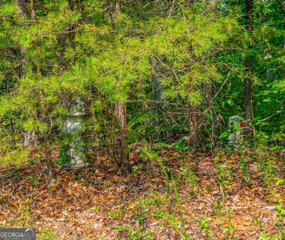 0 Old Cherokee WAY Dawsonville, GA 30534