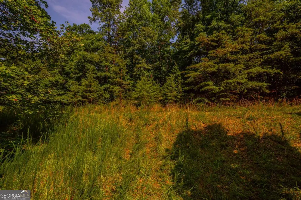 0 Old Cherokee WAY Dawsonville, GA 30534