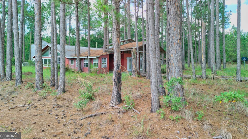 4421 Albert Rahn RD Glennville, GA 30427