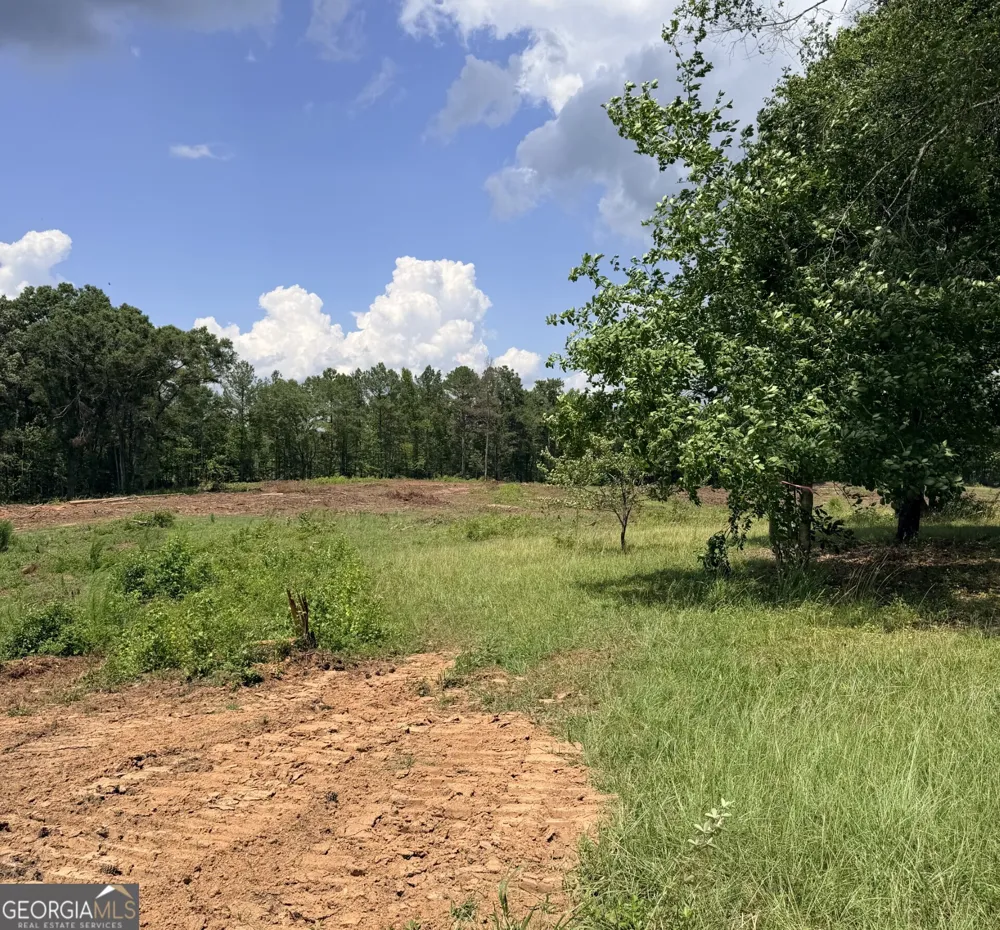 2135 Moss RD Gay, GA 30218