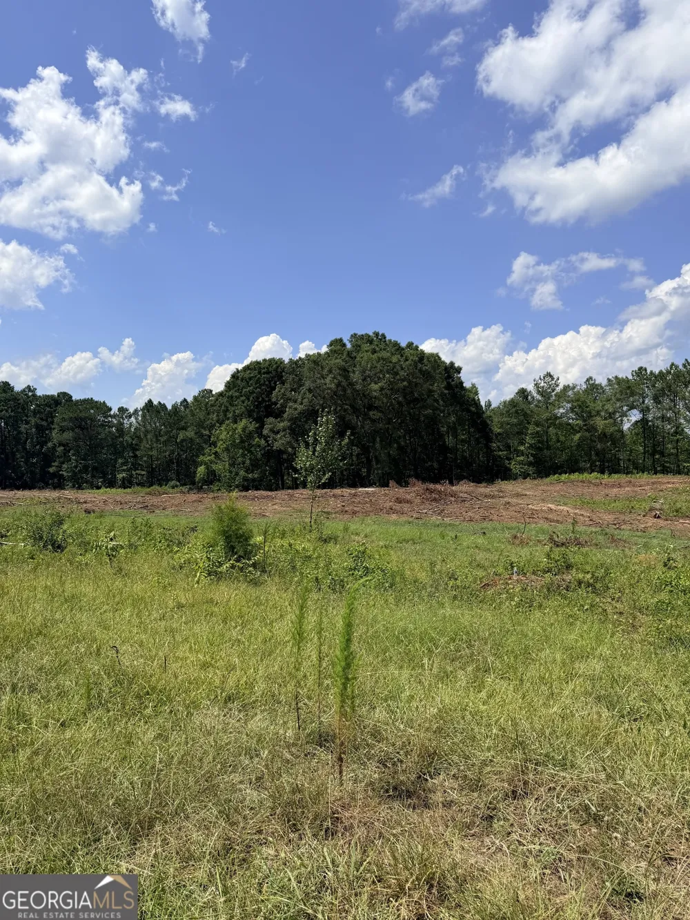 2135 Moss RD Gay, GA 30218