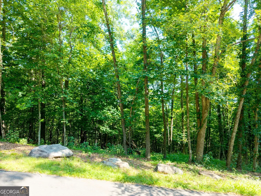 46 Buck Ridge Murphy, NC 28906