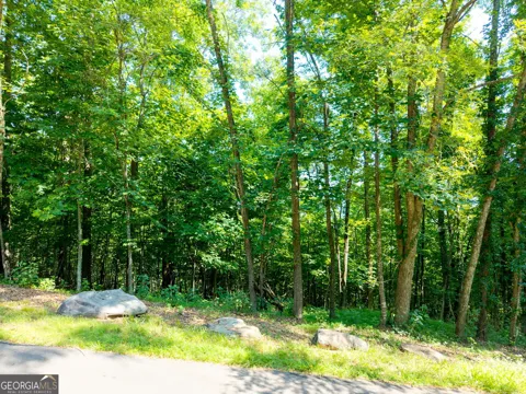 46 Buck Ridge