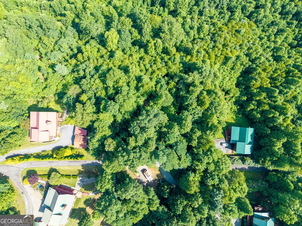 46 Buck Ridge Murphy, NC 28906