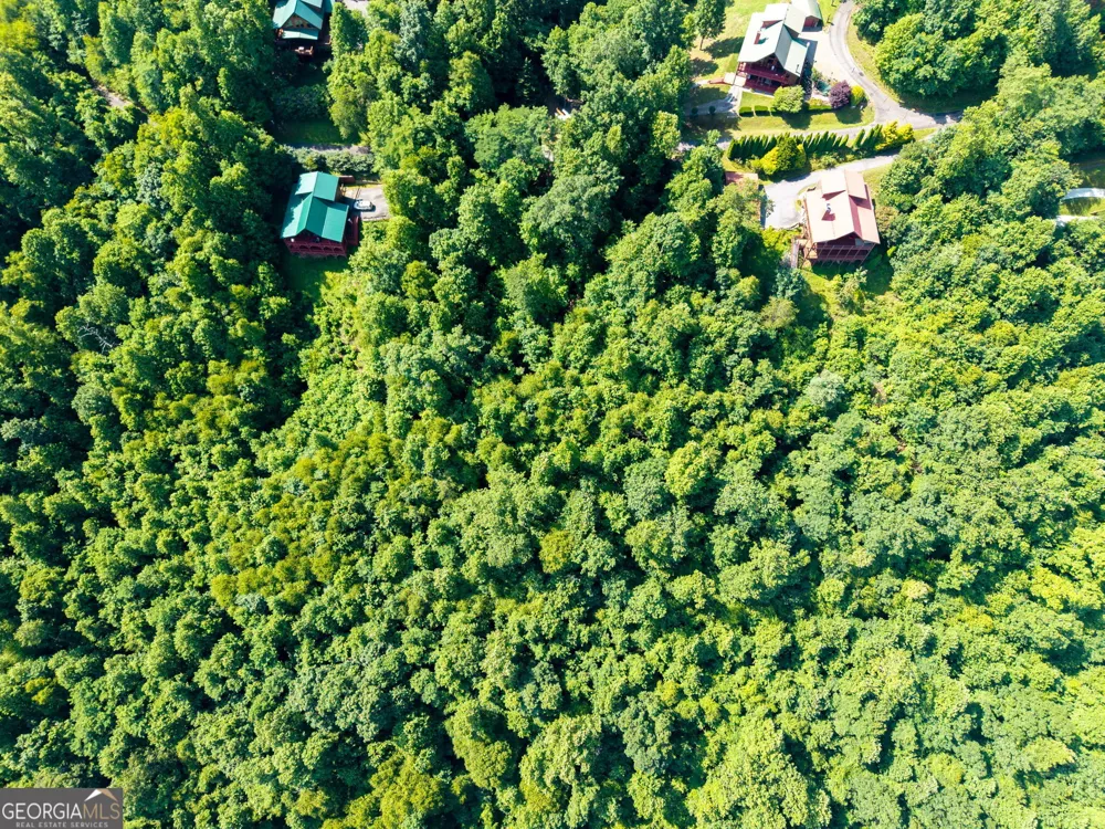 46 Buck Ridge Murphy, NC 28906
