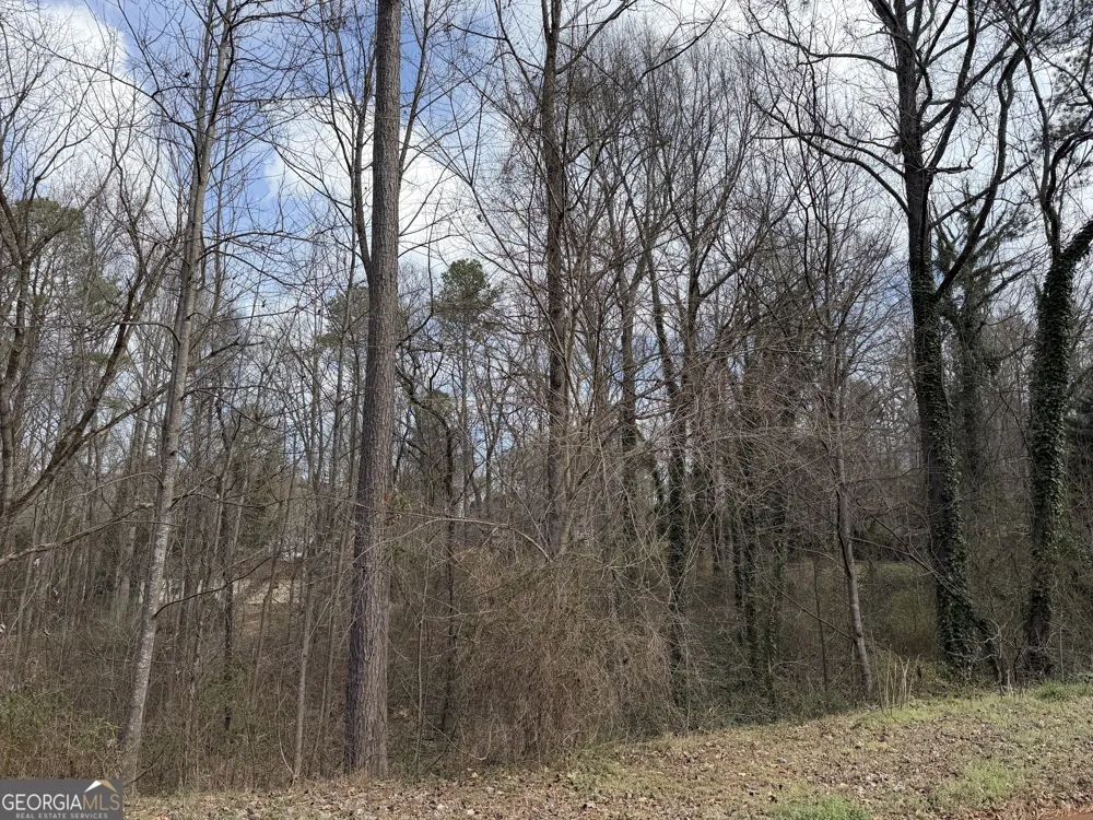 66 Red Top CIR Emerson, GA 30137