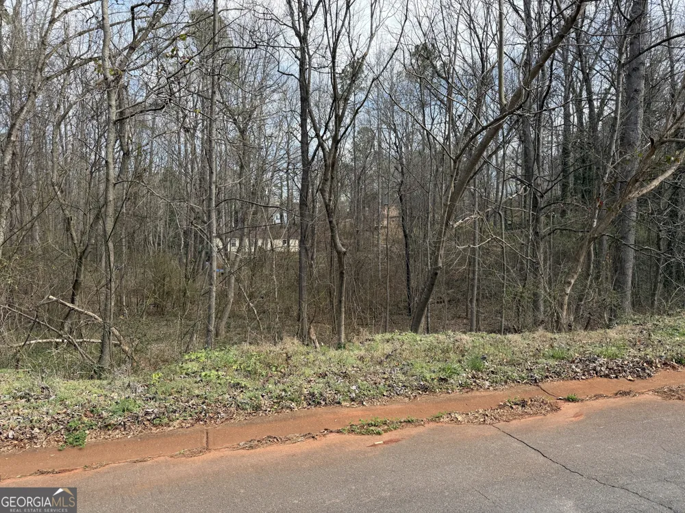66 Red Top CIR Emerson, GA 30137