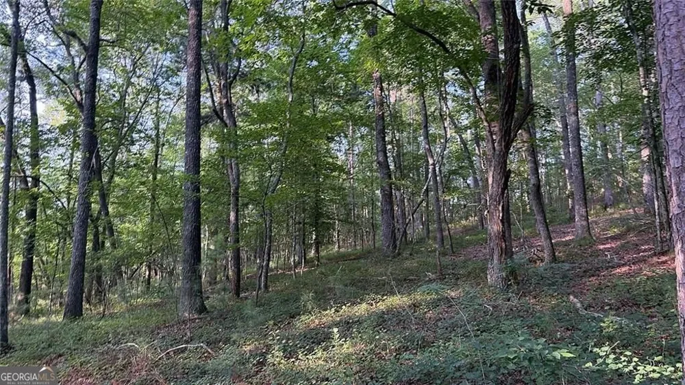 0 Highway 136 W Talking Rock, GA 30175
