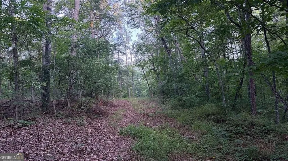 0 Highway 136 W Talking Rock, GA 30175