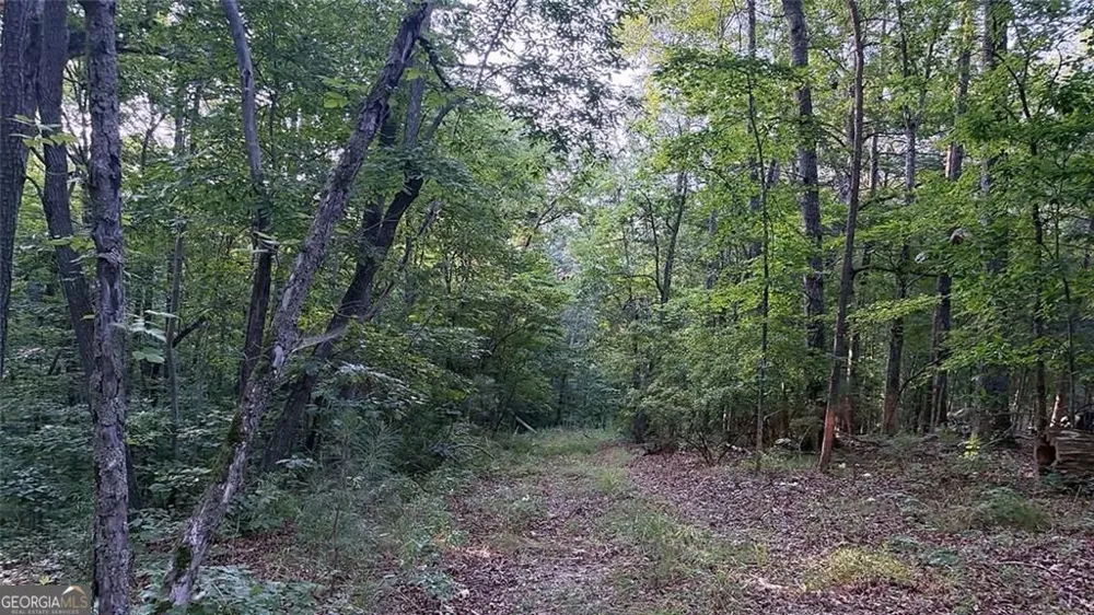 0 Highway 136 W Talking Rock, GA 30175