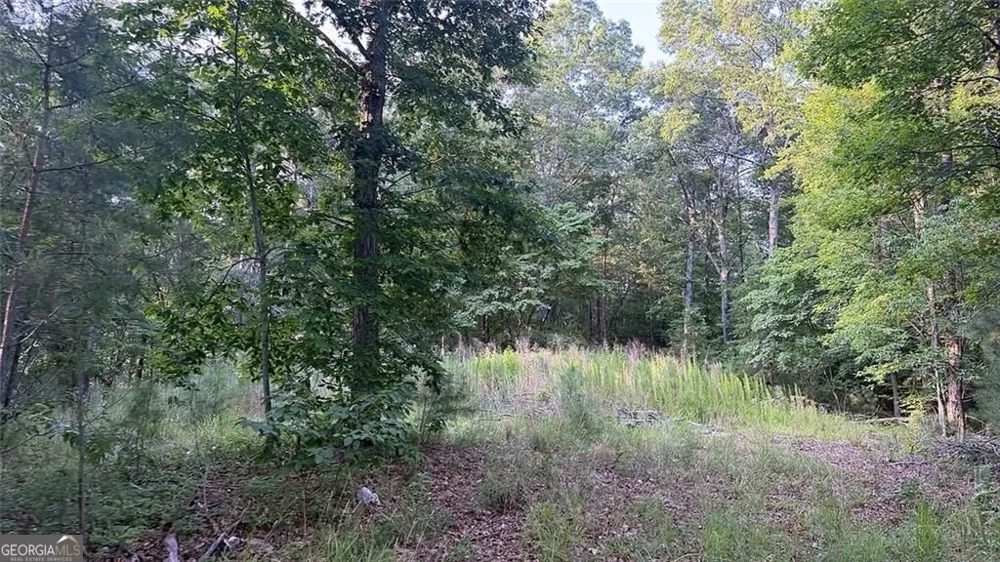 0 Highway 136 W Talking Rock, GA 30175