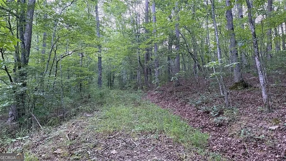 0 Highway 136 W Talking Rock, GA 30175