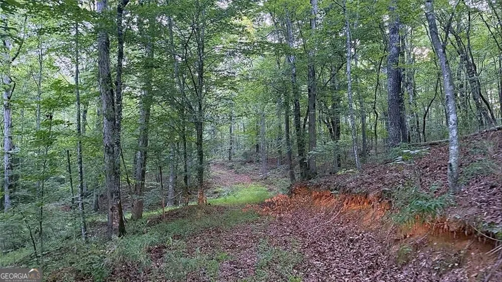 0 Highway 136 W Talking Rock, GA 30175