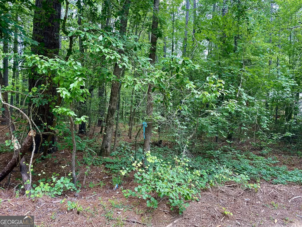 1190 Shore DR Tignall, GA 30668