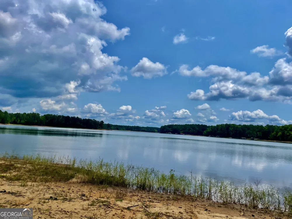 1190 Shore DR Tignall, GA 30668