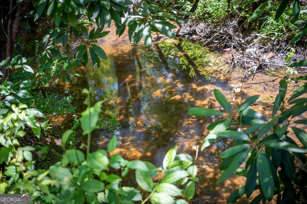 42 Waterstone WAY Mineral Bluff, GA 30559