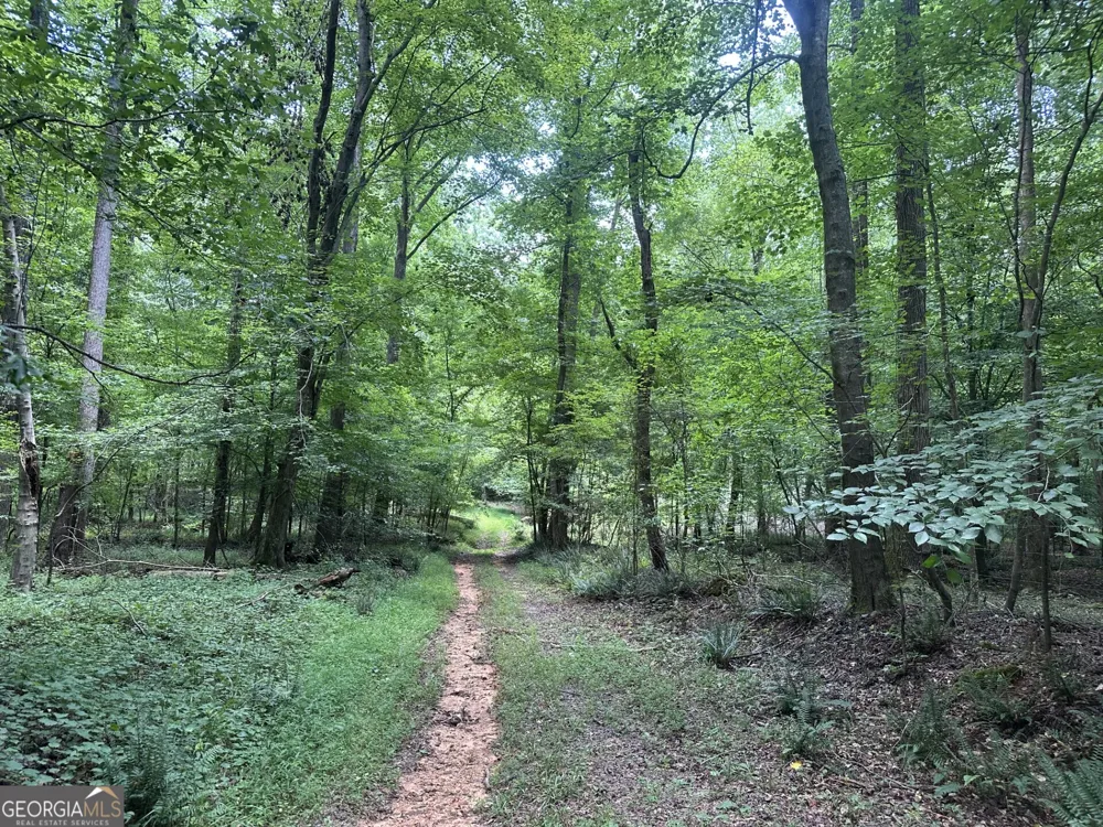 360 Happy Hollow RD Comer, GA 30629