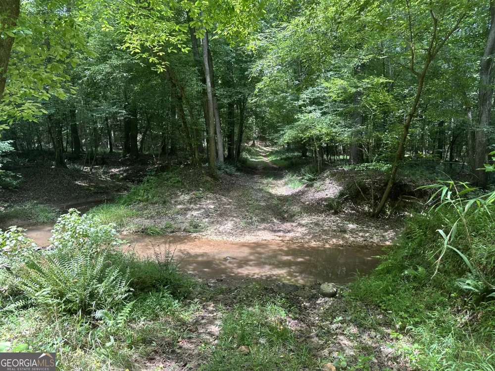 360 Happy Hollow RD Comer, GA 30629