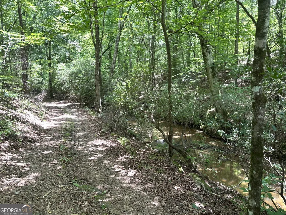 360 Happy Hollow RD Comer, GA 30629