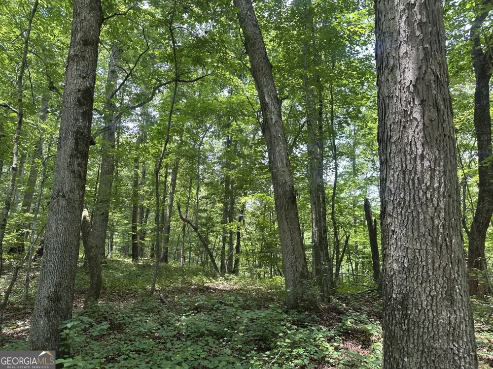 360 Happy Hollow RD Comer, GA 30629