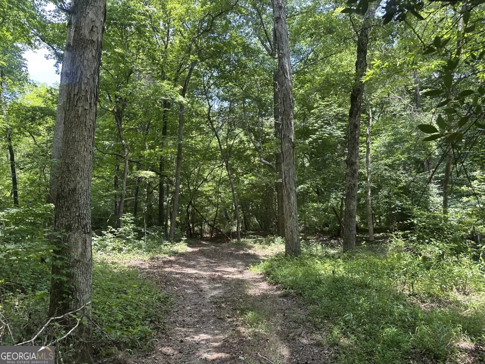 360 Happy Hollow RD Comer, GA 30629