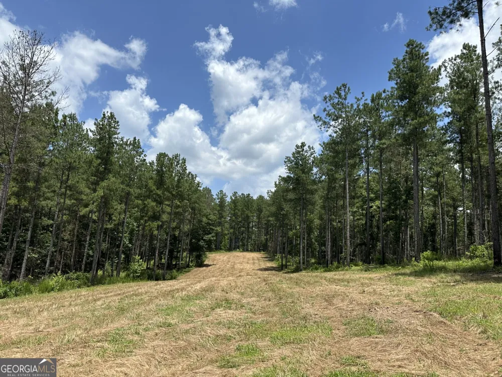 360 Happy Hollow RD Comer, GA 30629