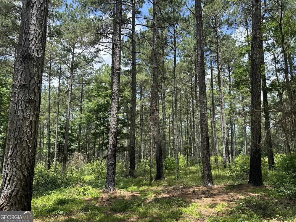 360 Happy Hollow RD Comer, GA 30629
