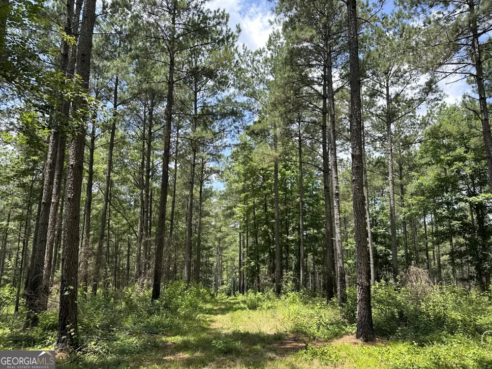 360 Happy Hollow RD Comer, GA 30629