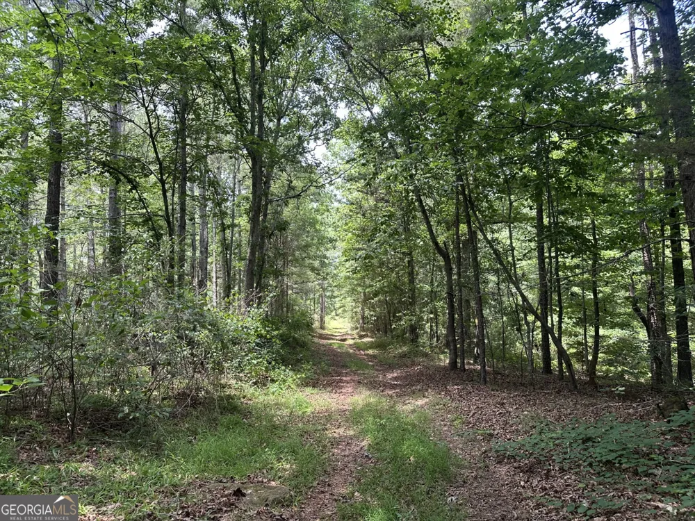 360 Happy Hollow RD Comer, GA 30629