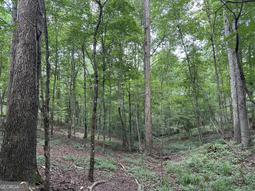 360 Happy Hollow RD Comer, GA 30629
