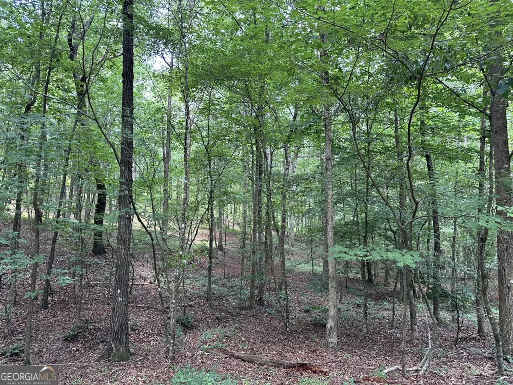 360 Happy Hollow RD Comer, GA 30629