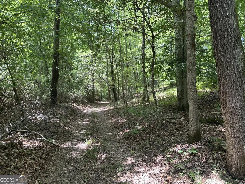 360 Happy Hollow RD Comer, GA 30629
