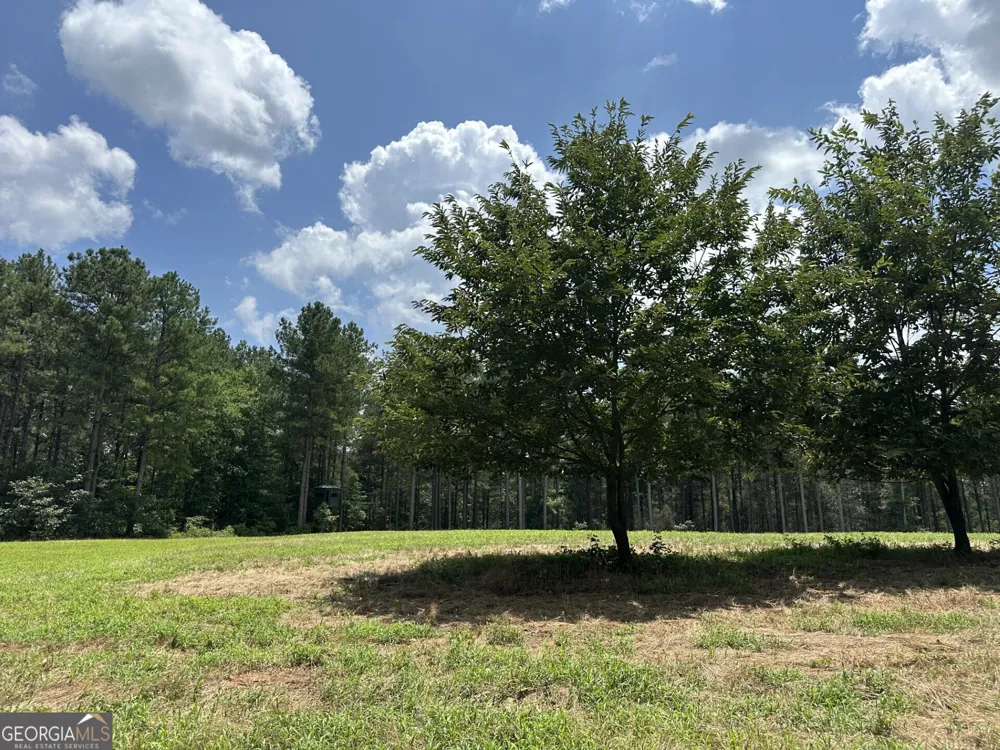360 Happy Hollow RD Comer, GA 30629