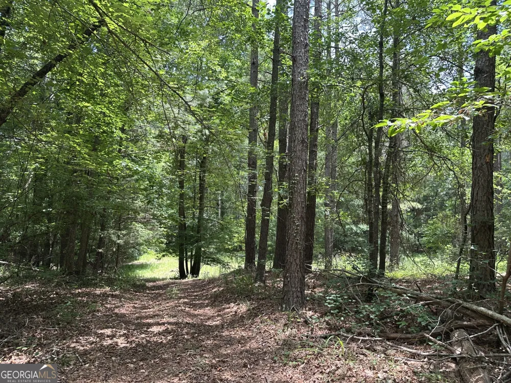 360 Happy Hollow RD Comer, GA 30629
