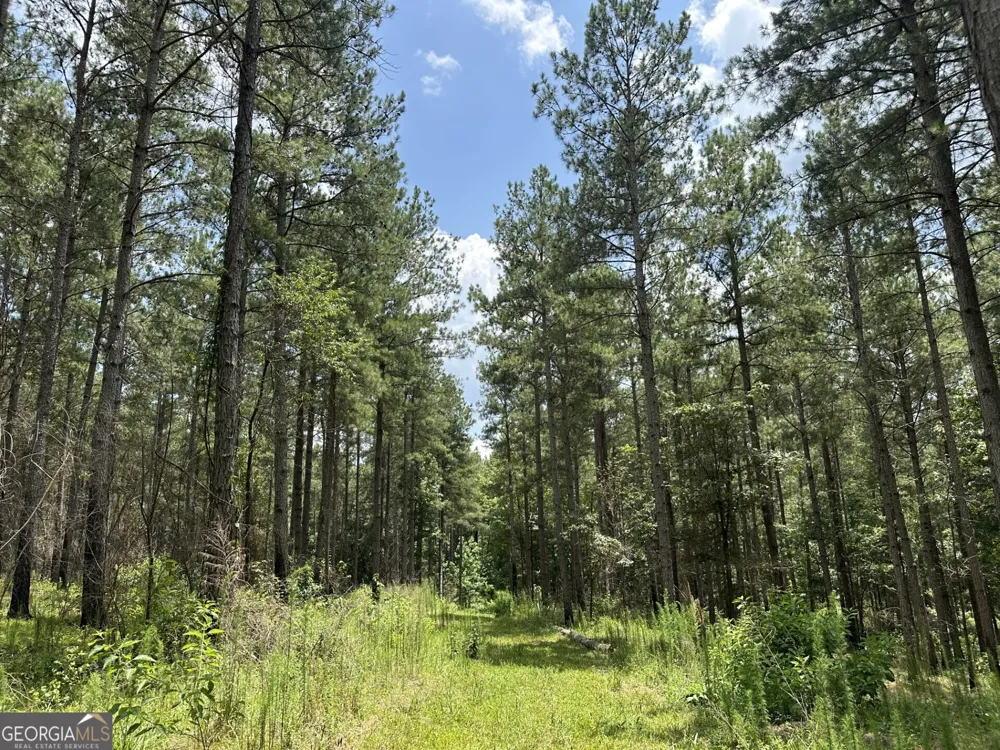 360 Happy Hollow RD Comer, GA 30629