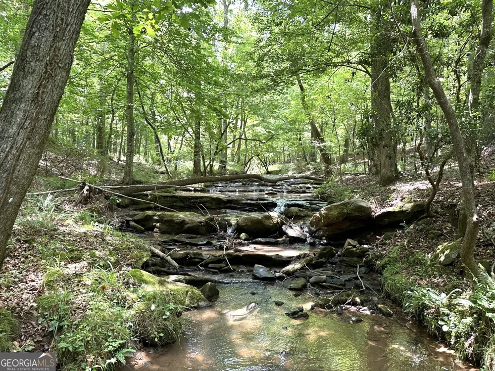 360 Happy Hollow RD Comer, GA 30629