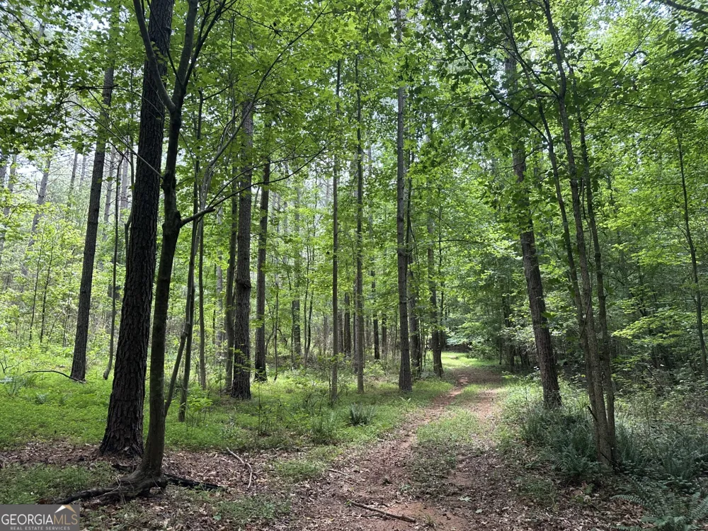 360 Happy Hollow RD Comer, GA 30629