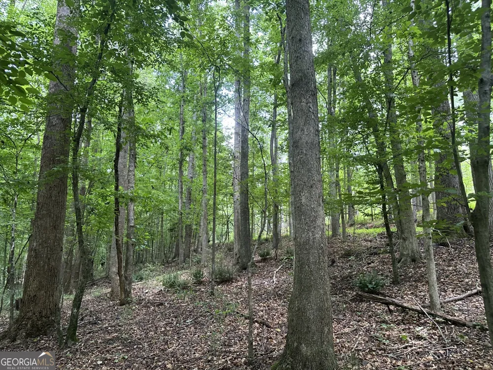 360 Happy Hollow RD Comer, GA 30629