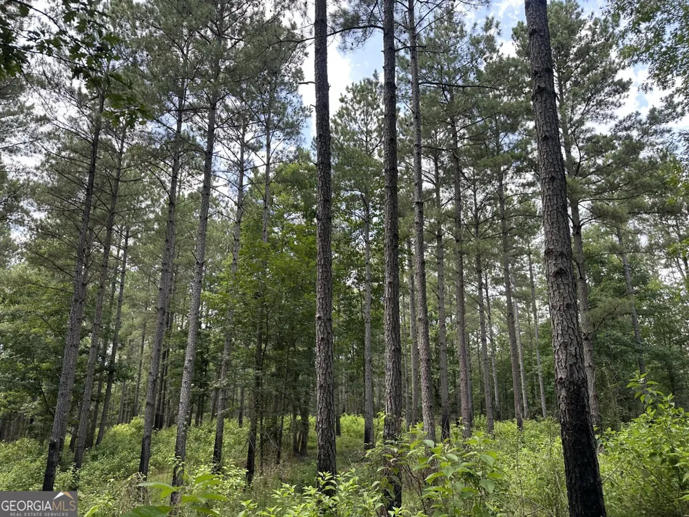 360 Happy Hollow RD Comer, GA 30629