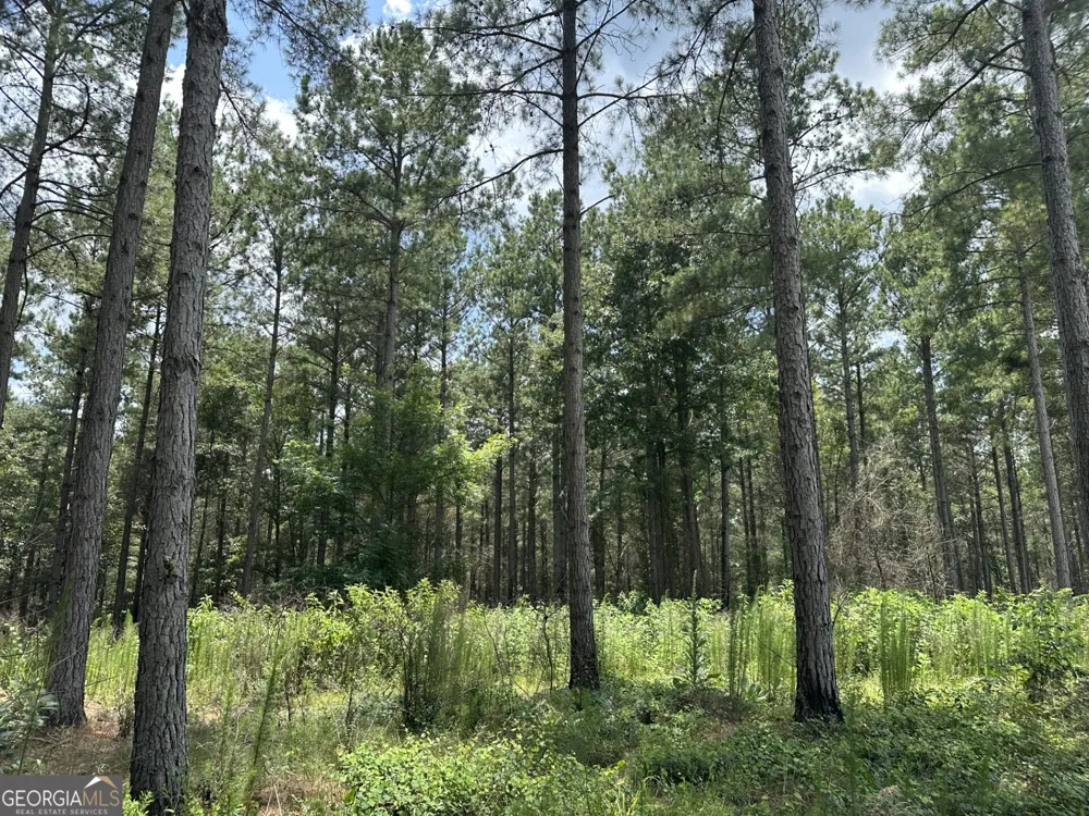 360 Happy Hollow RD Comer, GA 30629