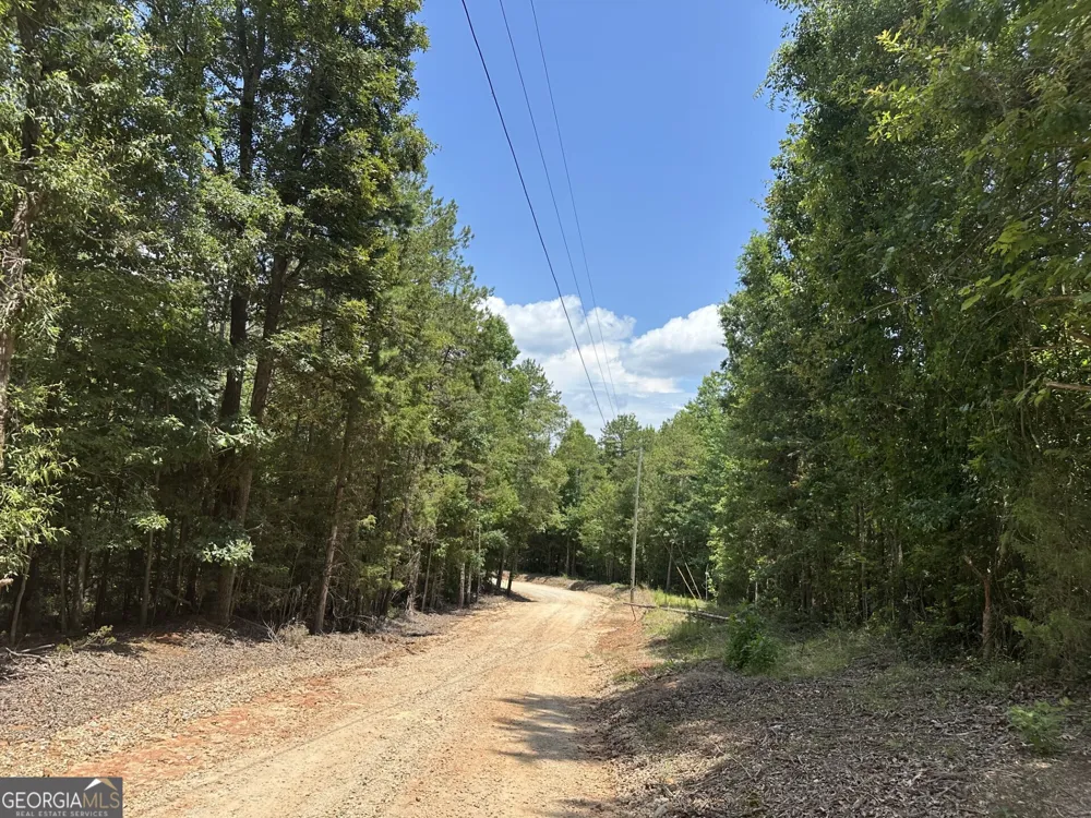 360 Happy Hollow RD Comer, GA 30629