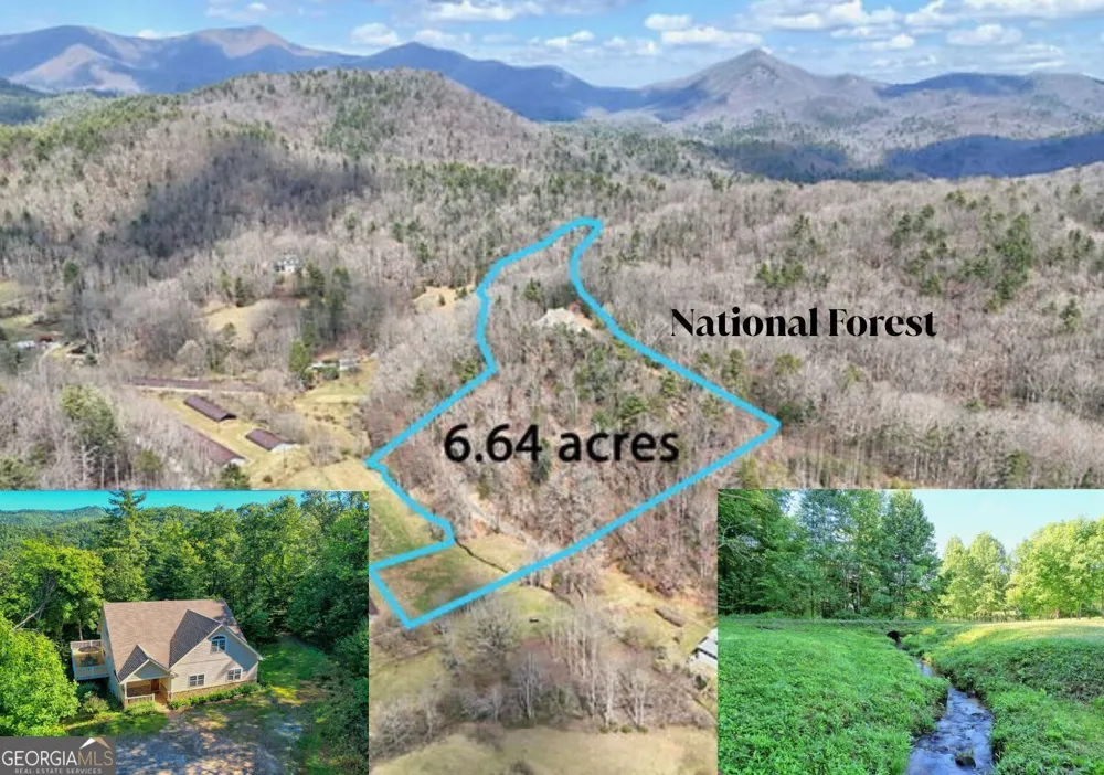 1068 Coleman River RD Clayton, GA 30525