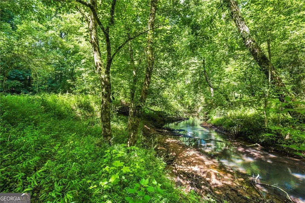 845 Nettlebrook LN Milton, GA 30004
