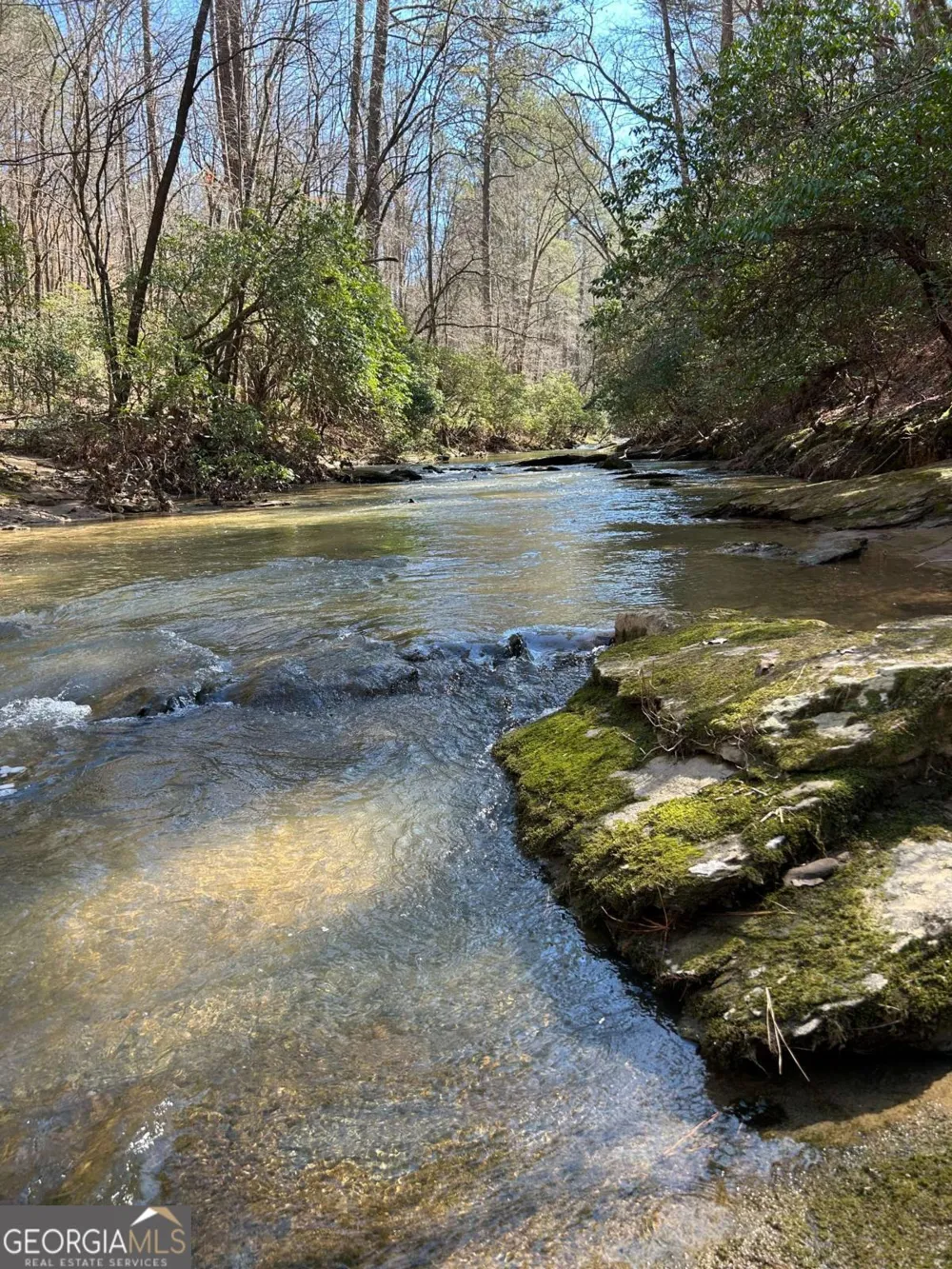 59R Coffee Mill RUN Talking Rock, GA 30175