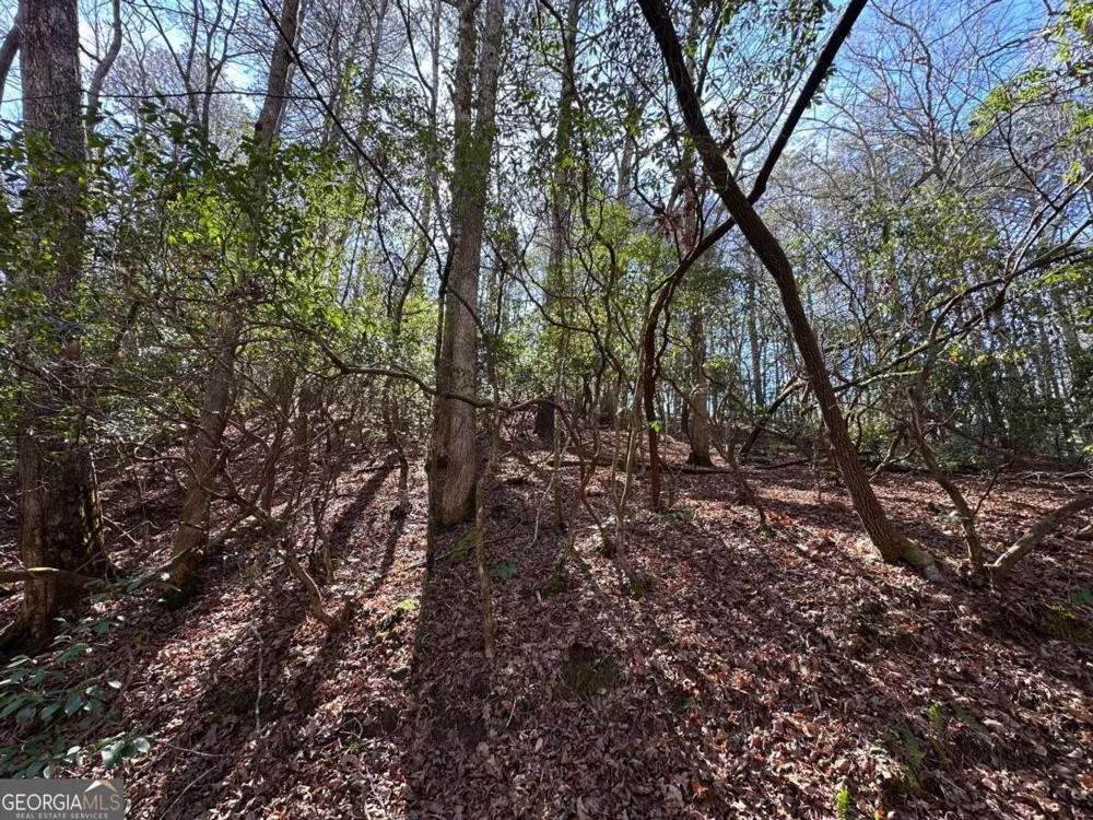 59R Coffee Mill RUN Talking Rock, GA 30175