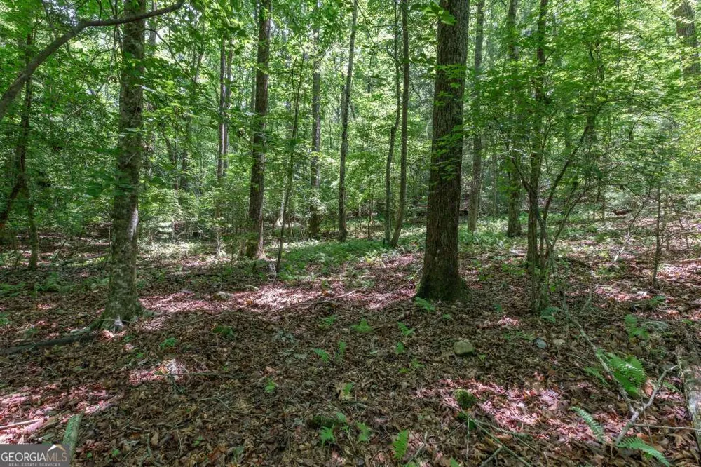 5 AC Solar DR Blue Ridge, GA 30513