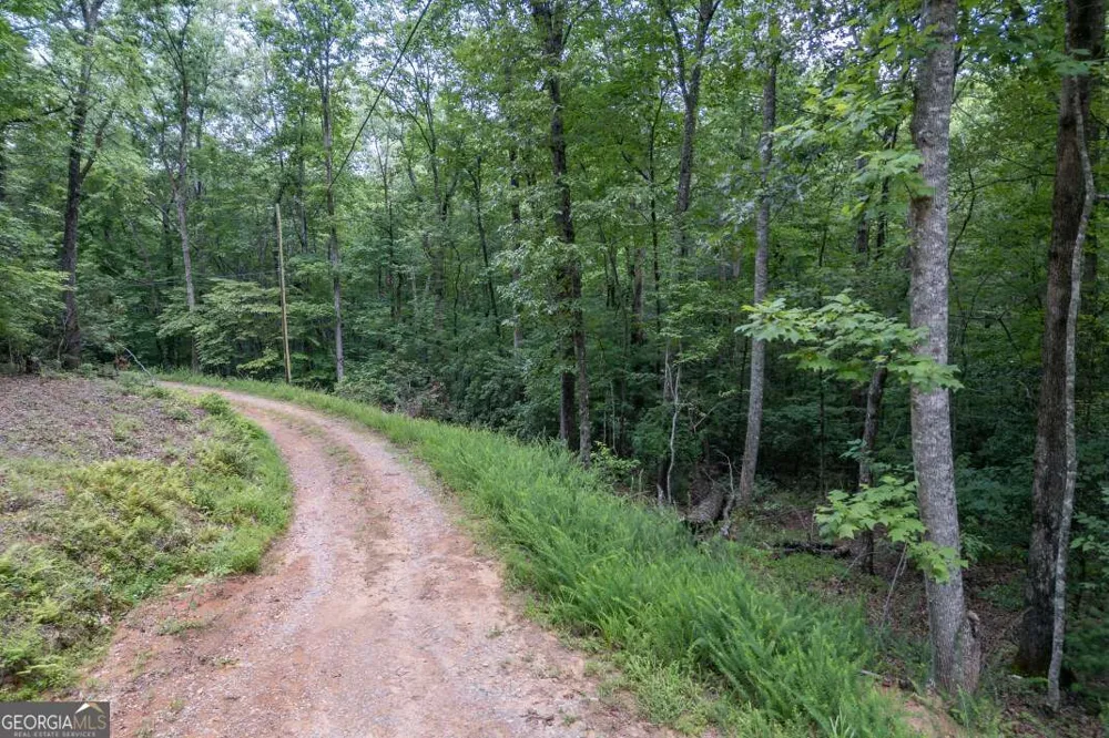 5 AC Solar DR Blue Ridge, GA 30513