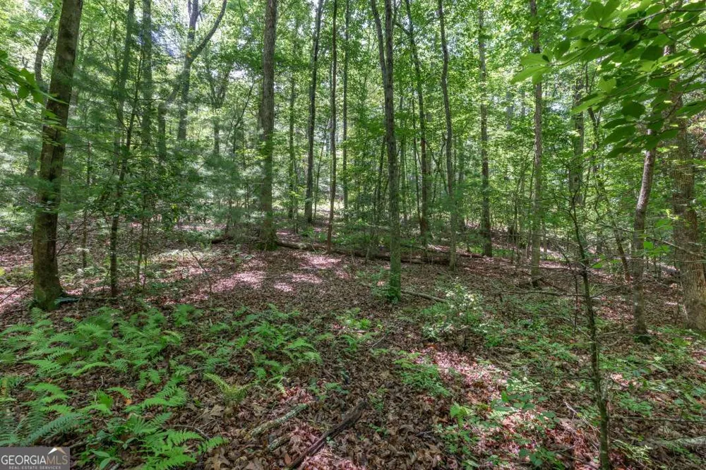 5 AC Solar DR Blue Ridge, GA 30513